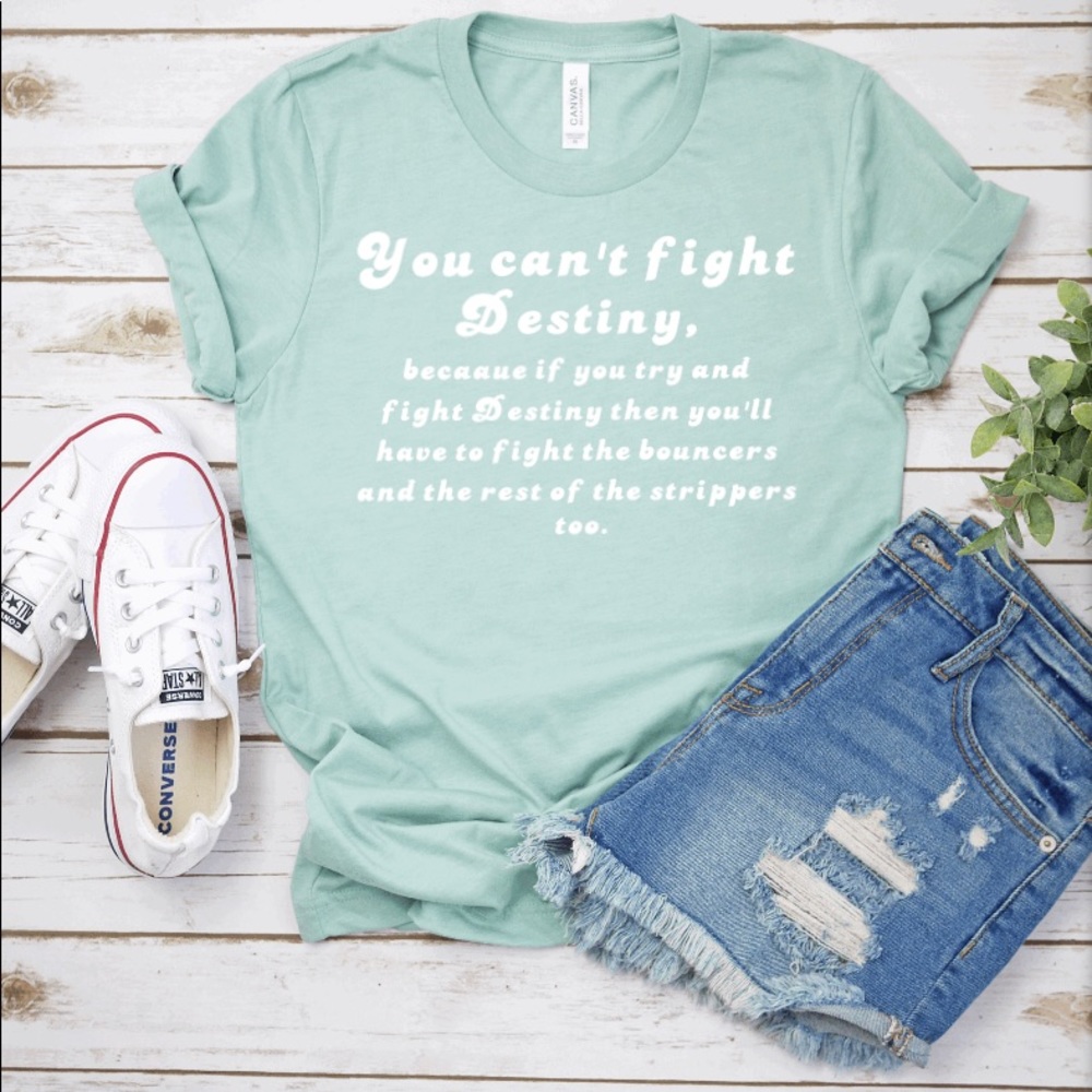 You can’t fight Destiny T-shirt